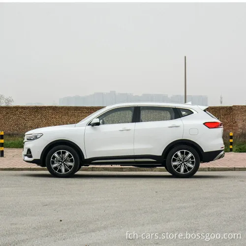 Sell ​​Hot Sell H6 2.0T 124KW 169PS H6 H6 SUV HAVE GASOLINE NOUVEAU CARS HAVAL HAVAL POUR VENTE ENTIER